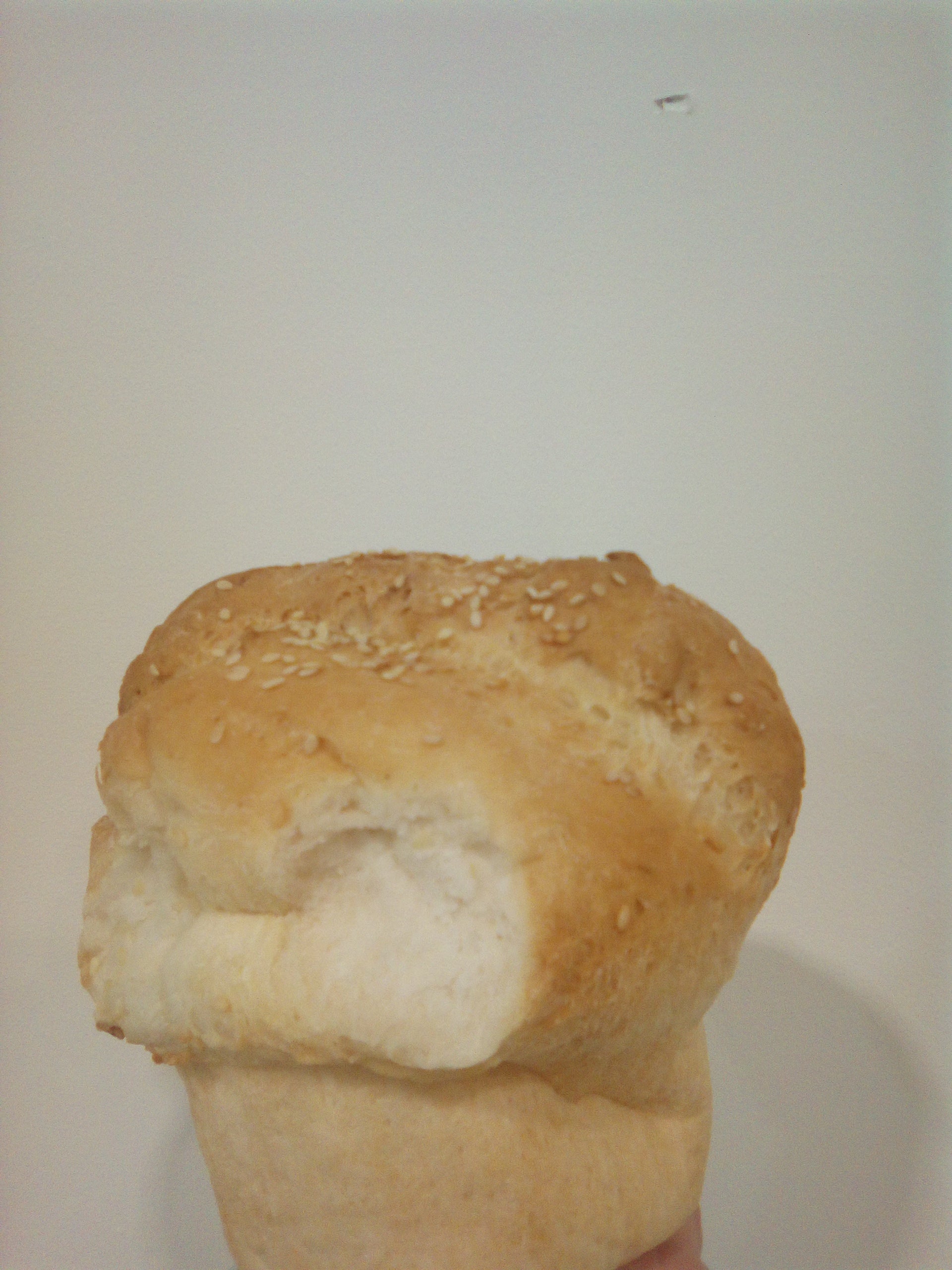 Molino Challah    (egg free)
